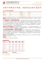业绩下修略低于预期，仍看好龙头集中度提升