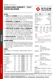 社区商业化增强+电商高景气,20H1净利预计增长超预期