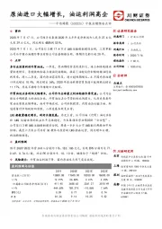 中报业绩预告点评：原油进口大幅增长，油运利润高企