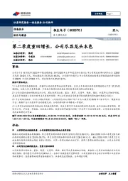 重大事件快评:第二季度重回增长,公司尽显龙头本色