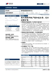 国内预焙阳极产能加速出清，龙头逆势扩张