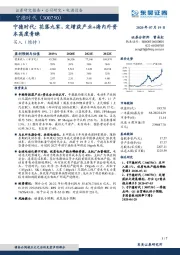 宁德时代：花落九家，定增获产业+海内外资本高度青睐