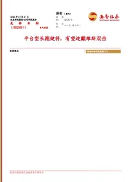 平台型长跑健将,有望迎戴维斯双击