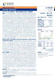 资产注入多方面协同，强化高端优势--20H1业绩前瞻