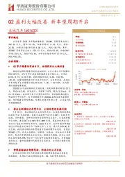 Q2盈利大幅改善 新车型周期开启