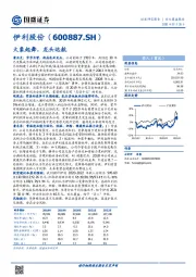 大象起舞，龙头远航