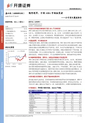 公司首次覆盖报告：隐形冠军，中国ARA市场拓荒者