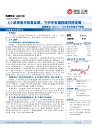2020年半年报点评报告:Q2经营基本恢复正常,下半年有望持续向好改善