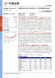 公司首次覆盖报告:杀菌剂龙头内生外延齐发力,灵活发展成长加速
