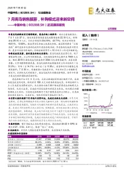 近况跟踪报告：7月离岛销售靓丽，补购模式迎来新空间