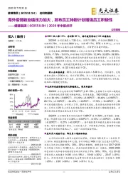 2020年中报点评:海外疫情致业绩压力加大,发布员工持股计划增强员工积极性