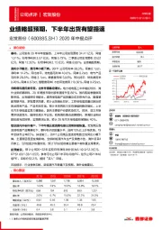 2020年中报点评：业绩略超预期，下半年出货有望提速