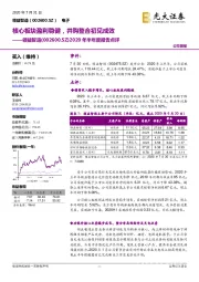 2020年半年度报告点评：核心板块盈利稳健，并购整合初见成效