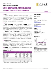 2020年半年报点评:20H1业绩符合预期,转型升级正在兑现