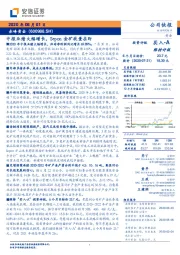 中报业绩大幅增长，Sepon金矿放量在即