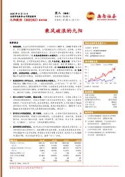 乘风破浪的九阳