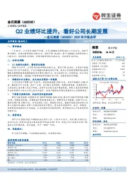 2020年中报点评：Q2业绩环比提升，看好公司长期发展