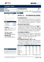 非洲之王,内外循环的成功典范