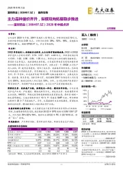 2020年中报点评：主力品种量价齐升，纵横双向拓展稳步推进