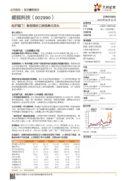 佑护国门！被忽视的口岸信息化龙头