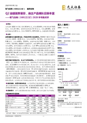 2020半年报点评：Q2业绩强势复苏，自主产品梯队日渐丰富