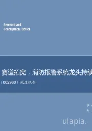 深度报告：监管强化、赛道拓宽，消防报警系统龙头持续领跑