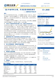 龙蟠科技半年报点评：Q2归母净利大增，车用尿素持续高增长