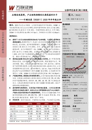 2020年半年报点评:业绩表现亮眼,产品结构持续优化推高盈利水平