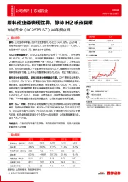 半年报点评：原料药业务表现优异，静待H2核药回暖