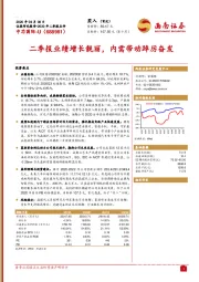 2020年二季报点评：二季报业绩增长靓丽，内需带动踔厉奋发