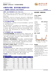 2020年中报点评：业绩符合预期，看好周期反转量价齐升