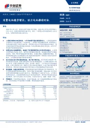 2020年半年报点评：消费电池稳步增长，动力电池静待时机