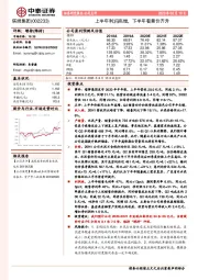 上半年利润高增，下半年看量价齐升