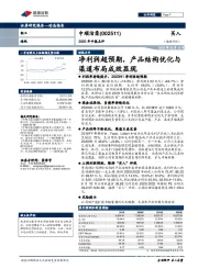 2020年中报点评：净利润超预期，产品结构优化与渠道布局成效显现