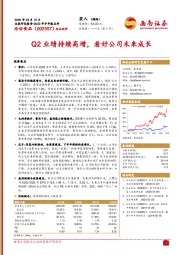 Q2业绩持续高增，看好公司未来成长
