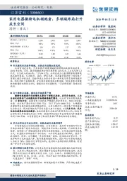 家用电器微特电机领跑者，多领域布局打开成长空间