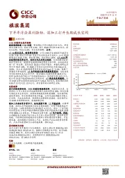 下半年浮法盈利强劲，深加工打开长期成长空间