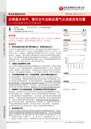 华兰生物2020年中报点评:业绩基本持平,看好全年血制品景气及流感疫苗放量