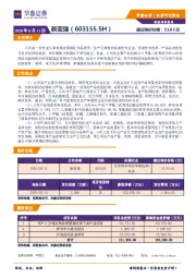 新股询价报告：新亚强