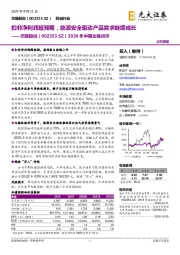 2020年中期业绩点评:扣非净利润超预期,能源安全驱动产品需求继续成长