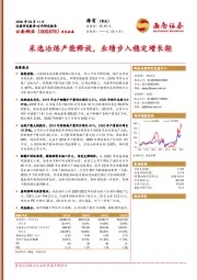 采选冶炼产能释放，业绩步入稳定增长期