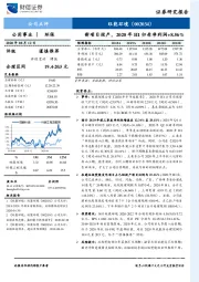 新项目投产，2020年H1归母净利润+8.56%