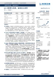 Q2业绩增长亮眼，继续重点推荐