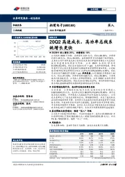 2020年中报点评：20Q2高速成长，高功率总线系统增长更快