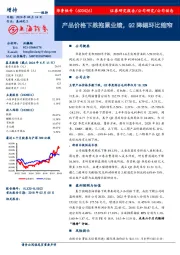 产品价格下跌拖累业绩，Q2降幅环比缩窄