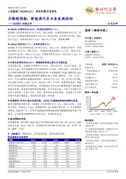 2020H1业绩点评:业绩超预期,新能源汽车业务表现强劲