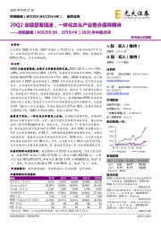 2020年中报点评：20Q2业绩显著提速，一体化龙头产业整合值得期待