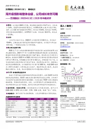 2020年中报点评:海外疫情影响整体业绩,公司成长依然可期