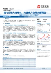 2020年中报点评：国内业绩大幅增长，大健康产业带来新契机