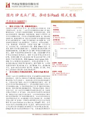 国内IP龙头厂商，推动SiPaaS模式发展